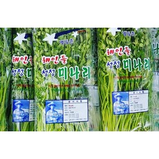 해인들농장 [해인들]해인들 미나리 1kg, 1개