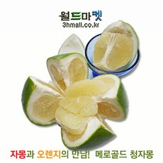 a80ef677d71b8d9ea212a485194d8cc401434d6ffbb672a0b187b75a10a3.jpg