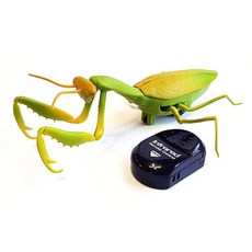 무선조종사마귀