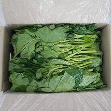 아욱 2kg 국내산 box, 단품