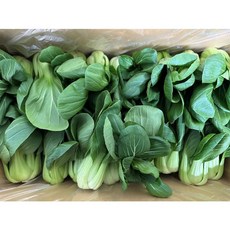 백광농장 국내산 청경채(특) 4kg, 1개