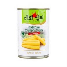 영콘