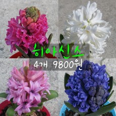 71e2a6a4ae578631a3881436872a6bb3ac43f10e665c781296551c29ca00.jpg