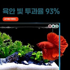 아인별 자동청소어항 키우기 물고기 세트 자동청소 구피, 검정 측면 필터 50x30x30cm
