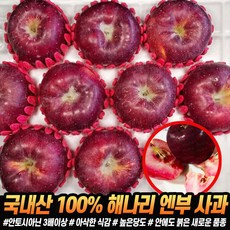 레드러브사과 TOP01