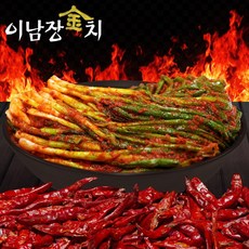 이남장 김치 원조 핵폭탄 매운 파김치, 1.8kg, 1개