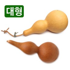 천연 통조롱박 중-대형 (통박 표주박 호롱박 전통장식 공예품, 대형-둘레30-길이17-지름10 - 조롱박