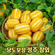 성주참외당도보장10kg