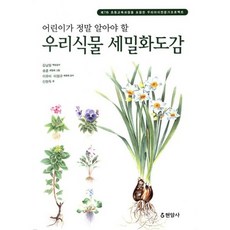 식물세밀화