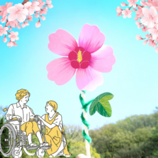 노인여가프로그램개발