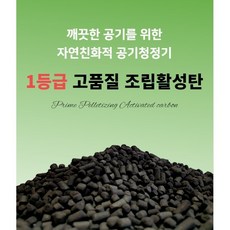 활성탄효능