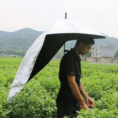 구찌양산