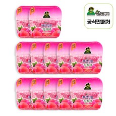 산도깨비 화장실용 탈취제, 300g, 12개