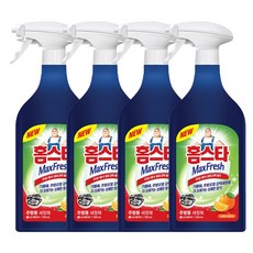 홈스타 주방용 세정제 750ml, 4개