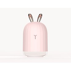 lg퓨리케어가습기렌탈