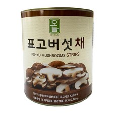 더오늘 표고버섯 채, 1개, 2.840g