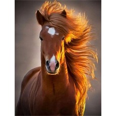 실크스크린홈키트