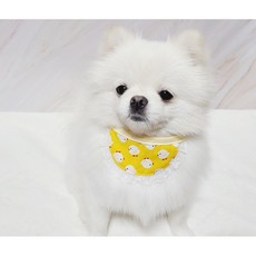 퍼피스토리 강아지 귀여운 스카프 2종(미니모자헤어핀증정), 병아리그린, 1개