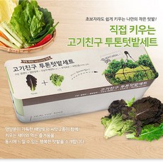 집에서상추키우기