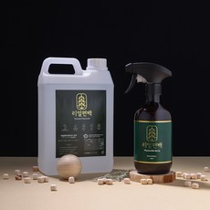 리얼편백 피톤치드 편백수 원액 2L + 스프레이 공병, 1개