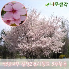 933f982362b5db3ed33ac0138c1cb033ee53333bc1092abcdffa252e8748.jpg