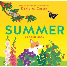 Summer: A Pop-Up Book 여름 팝업북, Abrams Appleseed