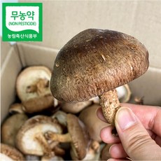 ff93fe83ea8a7e58a1b3d9529e0a487e0aa1eb300494dd5e46f0cda032c1.JPG