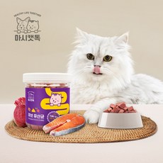 마시캣독 큐브 고양이 유산균 변비 면역력 생 플로린 포스트바이오틱스, 큐브 고양이 유산균 2개