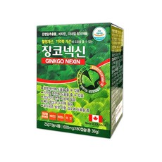 징코넥신 60캡슐 (2개월분) 은행잎추출물, 1box(60캡슐)