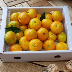 효돈 하우스감귤 2kg(한입크기소과)작지만 정말 달고 맛있는 감귤