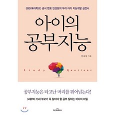 아이의 공부지능:EBS 공식 멘토 민성원의 우리 아이 지능 개발 실전서, 다산지식하우스