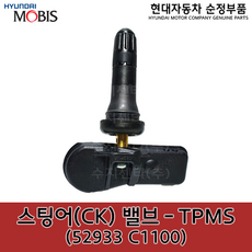 스팅어tpms