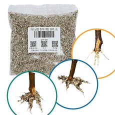 가드닝랩 질석 대립 실버 삽목용토, 1개, 10L