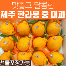 537f56ef073a2d4604e41155915bd3143bb965c16555b1671cceb24927a3.png