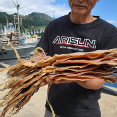 마른오징어 동해건조 원양산 건오징어, 1개, 10미 600g 내외 (특대)
