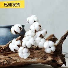 fbda3b391bfc9a523734472d8b359676fd260f8ebdcd8003b30830b33555.jpeg