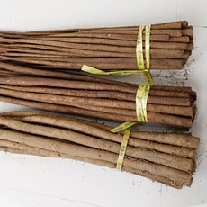 안동 통우엉 생우엉 대상 중품 상품 국산 우엉 뿌리 4kg, 대상 4kg, 1개