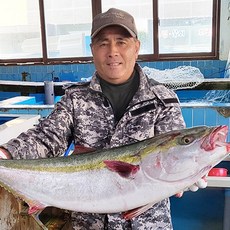 제주도 필렛 제철 방어, 대방어 7kg 한마리