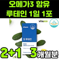 씨사이드루지