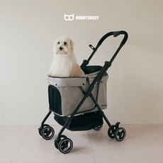 버디두기라이더몰티