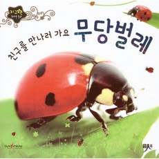 무당벌레책