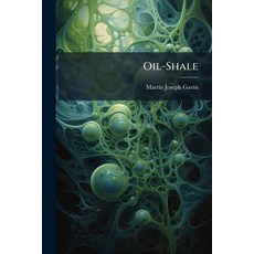 (영문도서)Oil-Shale Paperback, Hutson Street Press, English, 9781023883733