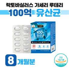 세리더이야기