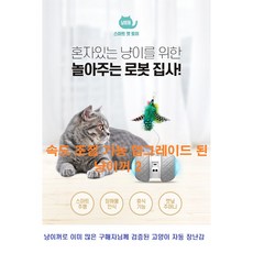 냥이꺼2 속도조절 업그레이드 고양이 자동 장난감 고양이장난감, 단품