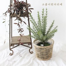 49de0c3ea67fe15acf1ad33c5bb0445669a64be72a7c910c378a62365352.jpg