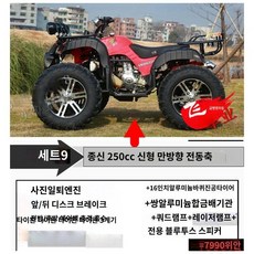 농사용 사발이 전동 제설 사륜 참고 오토바이 전기 네발 가솔린, B. 빅 불스 250cc 디럭스