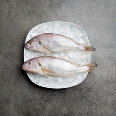 서피랑피쉬마켓