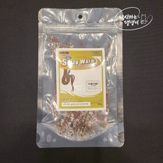 [낚댕] 오기몰 염장 건조 지렁이 손에 안뭍는 미끼 바다낚시 도다리 우럭 감성돔 참돔 놀래미, 1개