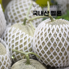 [산지직송] 이브팜 멜론 고당도 선별 로얄과, 1박스, 4kg(2통)
