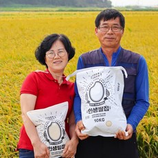 [인생쌀집] 전북 김제 신동진 참동진 상등급 단일품종 당일도정 백미 햅쌀, 10kg × 1개